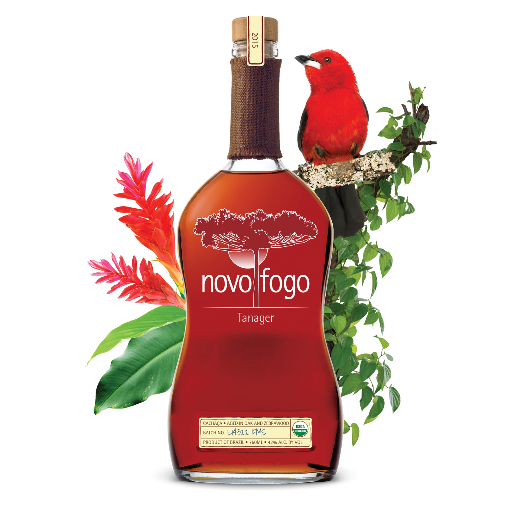 Novo Fogo Tanager